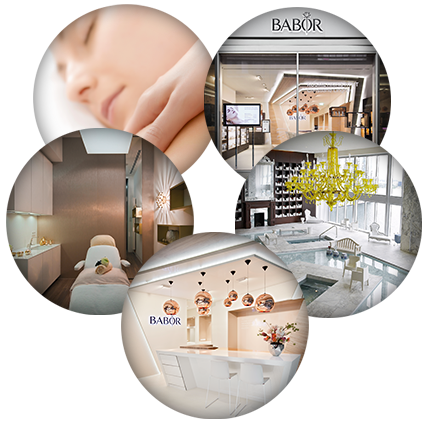 The BABOR partners